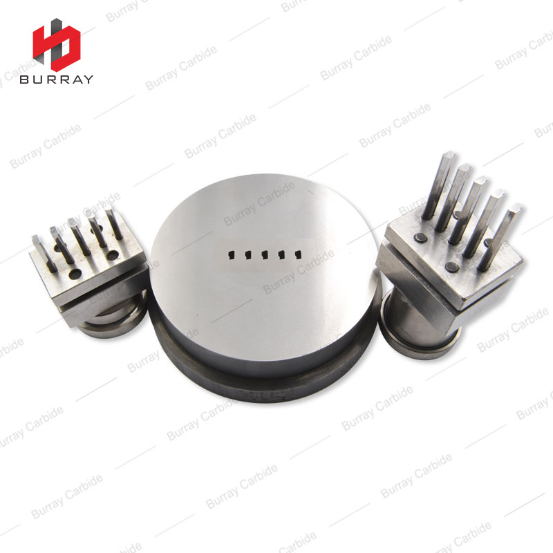 4.5x2.6x2.9 Powder Metallurgy Carbide Punching Mould 