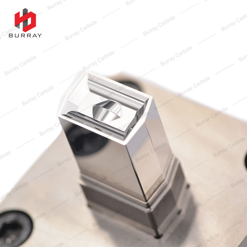 Tungsten Carbide Mould for Pressing LEHX1506-B Insert