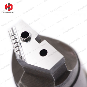 Tungsten Carbide Polished Heterotype Punch Dies
