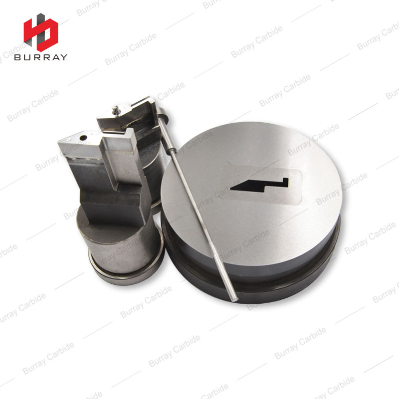 VNBR0510X Powder Metallurgy Mould contains Upper Punch,Uder Punch, Core Pin and Mold 