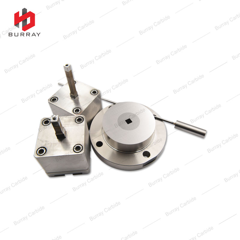 SPMG060204-DG Powder Metallurgy Stamping Dies/Mold